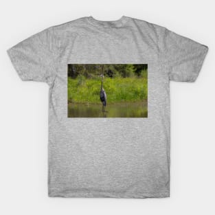 Great Blue Heron Bird in Tall Grass T-Shirt